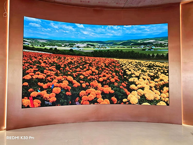 米易枇杷馆多媒体项目